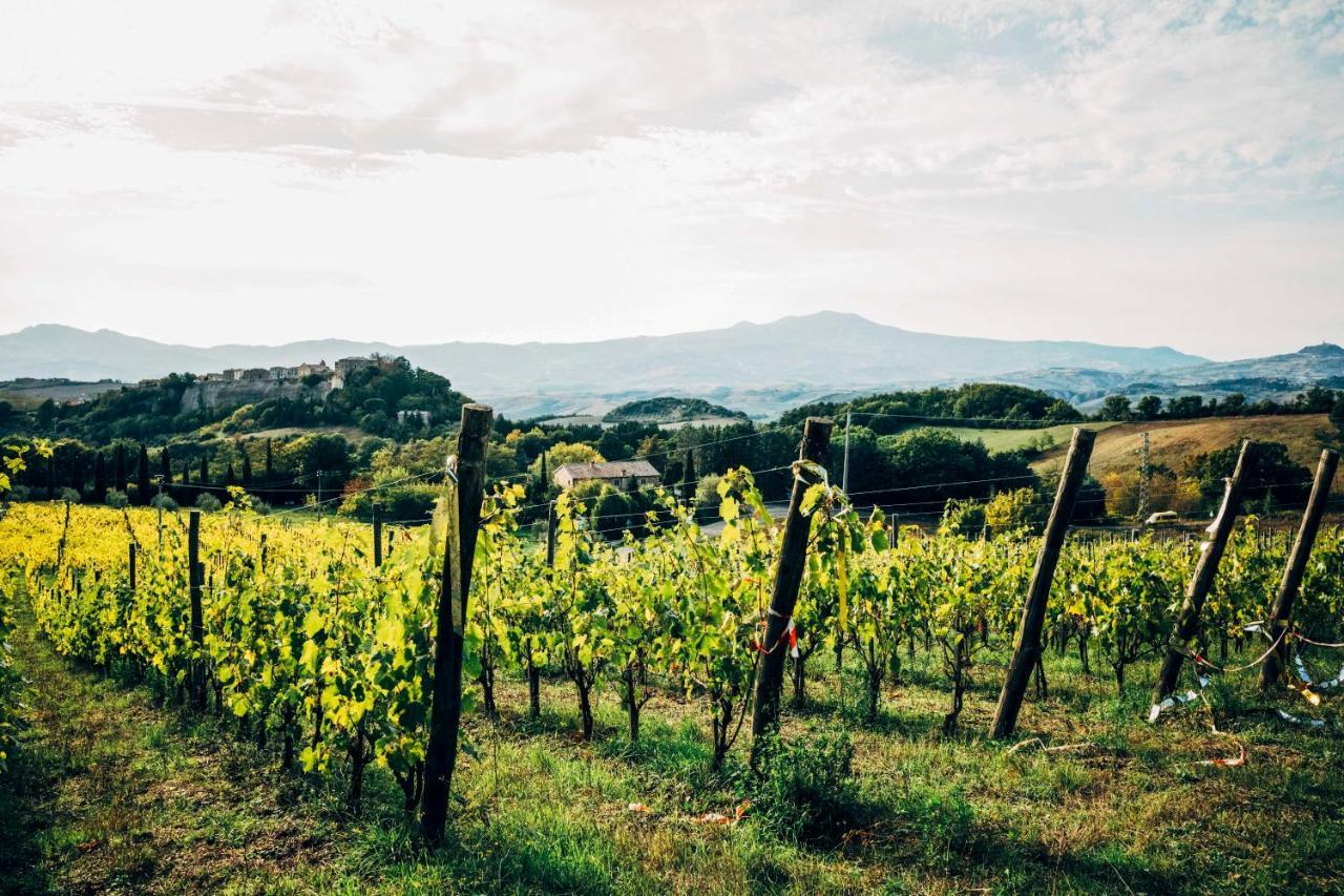 Podere Orto Wine Country House Trevinano Экстерьер фото
