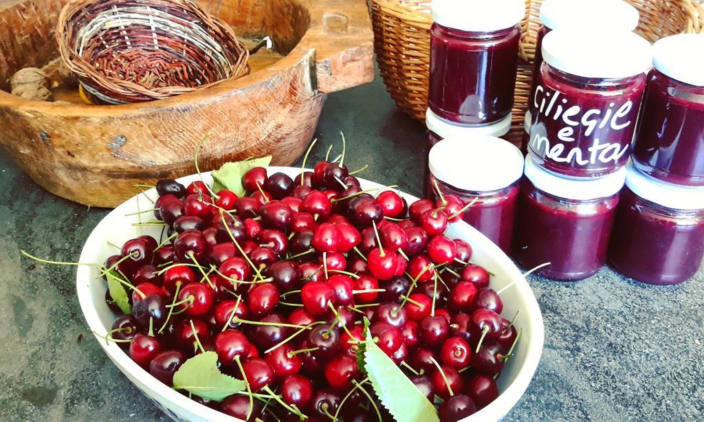 Podere Orto Wine Country House Trevinano Экстерьер фото